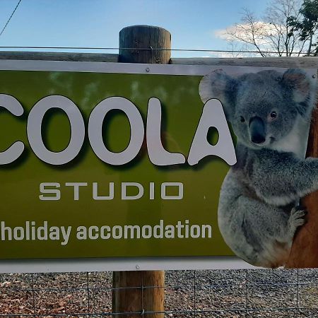 Coola Studio 말라쿠타 외부 사진