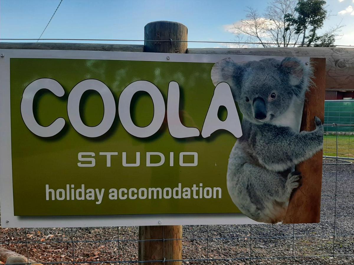 Coola Studio 말라쿠타 외부 사진